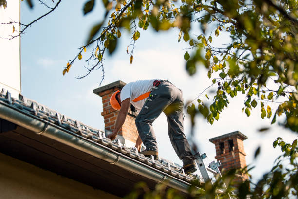 Best Chimney Flashing Repair  in Batavia, OH